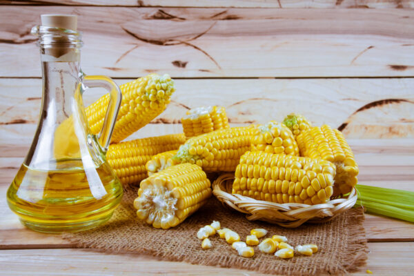 Fresh corn oil in a bowl with ears of corn on a cloth on a slate background